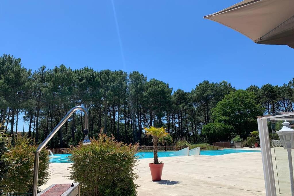 Appartement T2 1Chambre 4-5 Personnes - Lacanau - Piscine - Vue Sur Le Golf Buitenkant foto